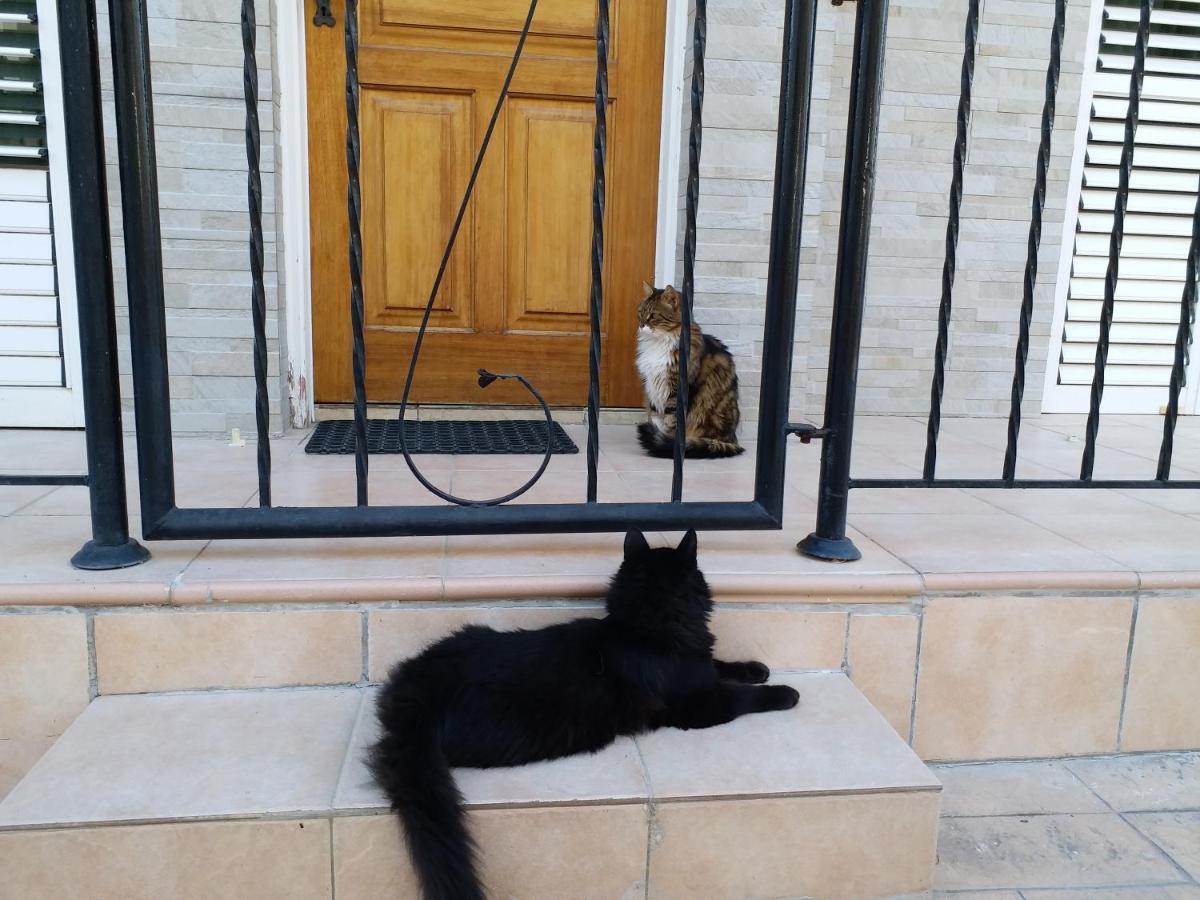 In Universal Villa Paphos
